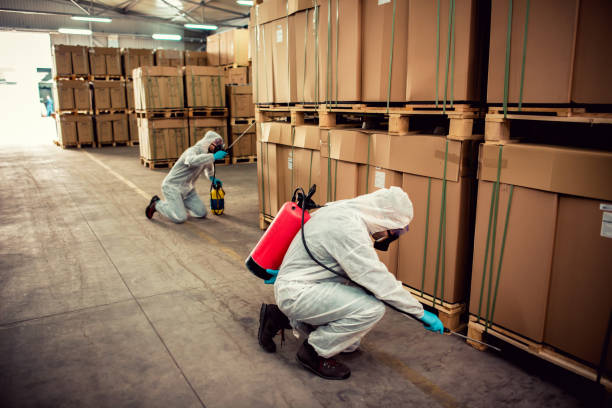 Best Insect Control  in Perry, UT