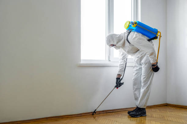 Best Mosquito Control Services  in Perry, UT