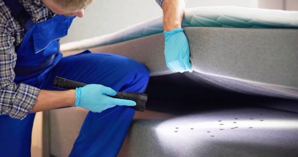 Best Cockroach Control Services  in Perry, UT